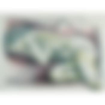 Dormiente (preview)