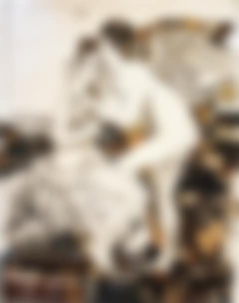 Amore and Psyche, after Francois Gerard from Pictures of Junk (preview)