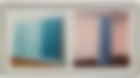 Brice Marden and Robert Morris (preview)