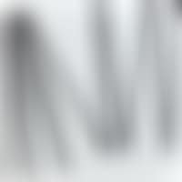 PI PIQUANT N ° 10 1 = 3 ° (preview)