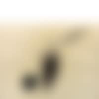 UNTITLED (preview)