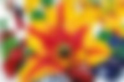 “The Extra Tropical Troposphere” (preview)