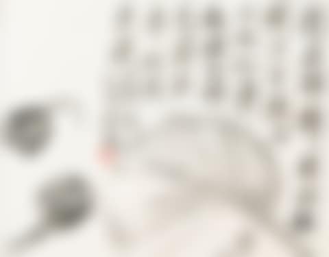 Palm Fan Leaf and Lotus Pods (preview)