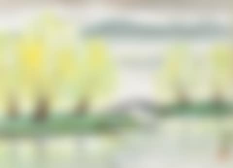 Willows by a Bridge (preview)