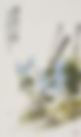 Morning Glory (preview)