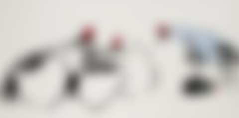 Roosters (preview)