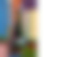 Composition (preview)