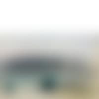 Landscape of Nyon (preview)