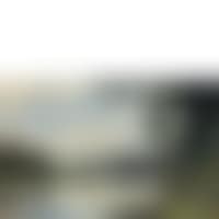 A fisherman on the banks of the Marne (preview)