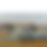 View of Siena (preview)