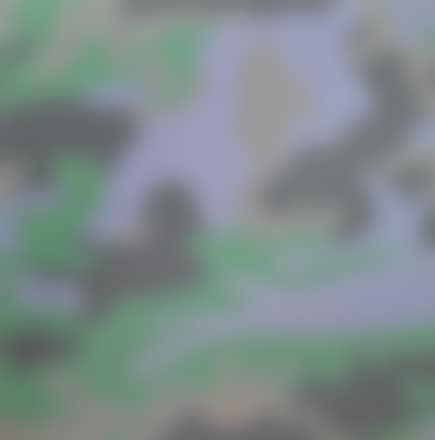 Camouflage (preview)