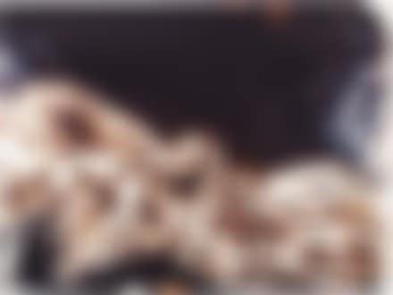 The Sacred Ludovica (after Bernini) (preview)