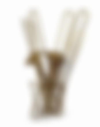 Tromboni (preview)