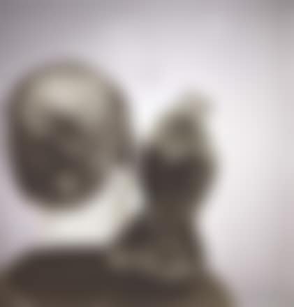 Testa con gazza (preview)