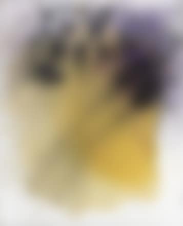 Senza titolo (preview)