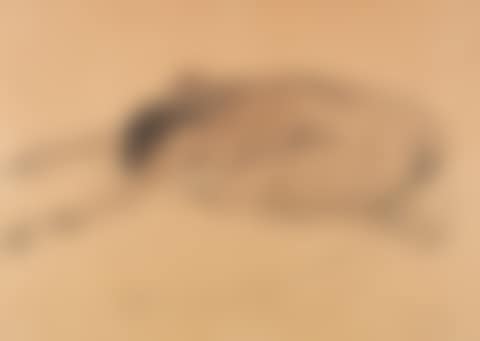 Kauernder Akt (preview)