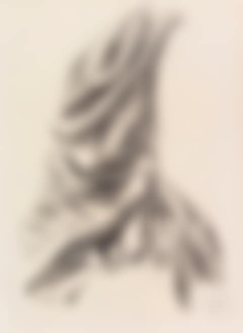 Textilstudie (preview)