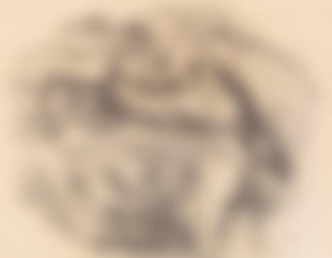 Textilstudie (preview)
