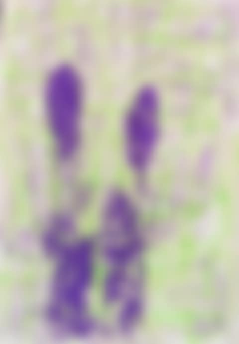 Ohne Titel (preview)