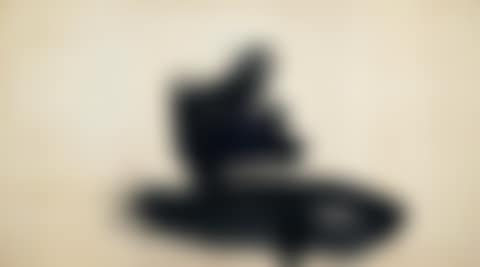 TORI (BIRD) (preview)