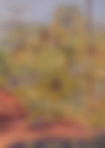 Palm Valley (preview)
