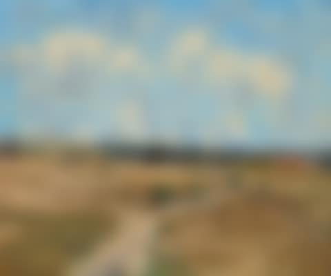 Rosebud Landscape (preview)