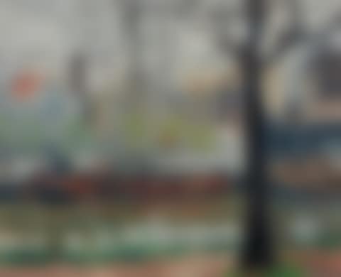 The Seine (preview)