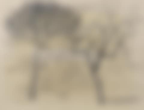 Sept. 56 (Cortenanno, Tuscany) (preview)