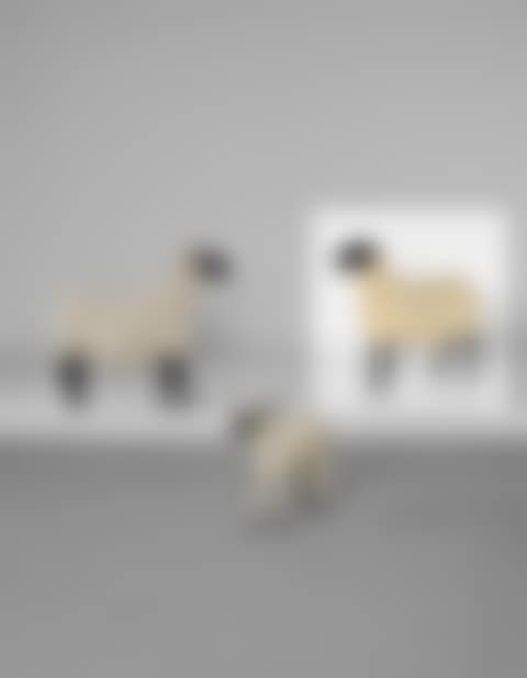 Mouton ‘Transhumant’ (preview)