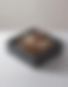 Bird (preview)