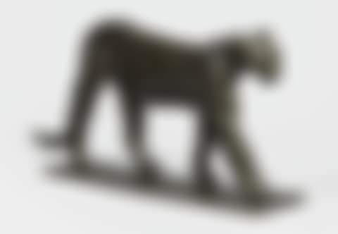 PUMA MÂLE (preview)
