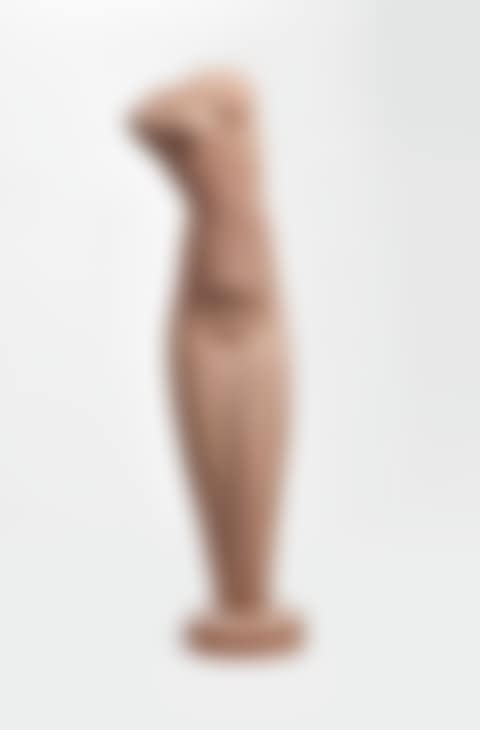 TORSO (preview)