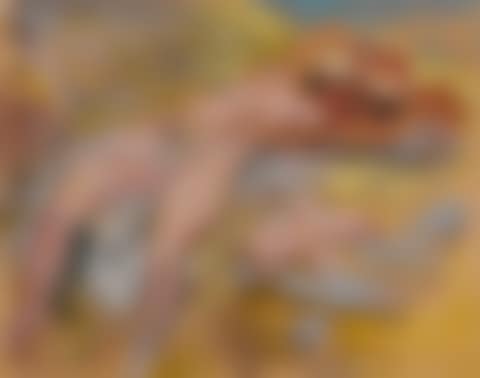 AKT (NUDE): A DOUBLE-SIDED WORK (preview)
