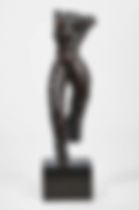 TORSE DEBOUT (preview)