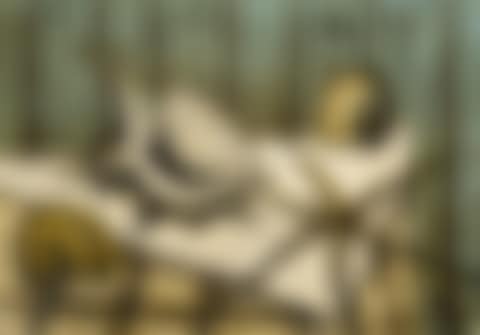 NATURE MORTE AUX COQUILLAGES (preview)
