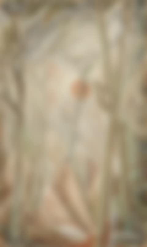 SOUS-BOIS (preview)