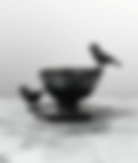 COUPE AUX OISEAUX (preview)