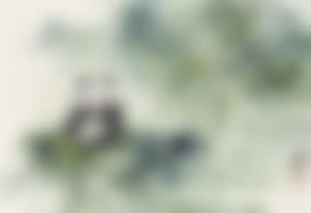 PANDA (preview)
