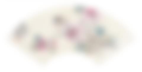 FLOWERS AND BIRDS (preview)