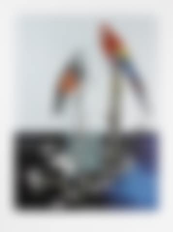 Two Birds with Blossom (large) (preview)