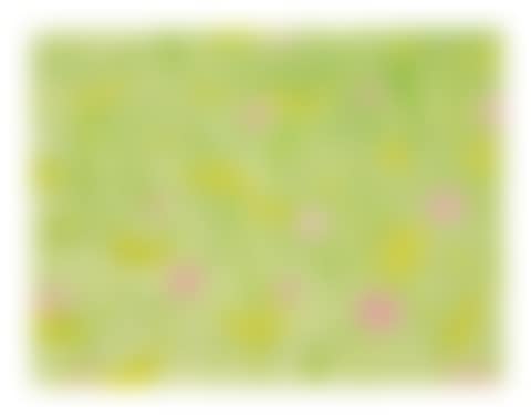 FIELD FLOWERS ON LIGHT GREEN (preview)
