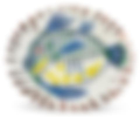 POISSON (preview)