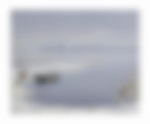 Loosdrechtse plassen in winter (preview)