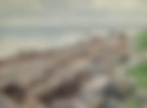 BATHERS ON A BEACH (preview)