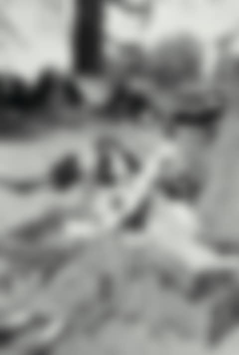 LE RETOUR, DISPLACED PERSONS, DESSAU (preview)
