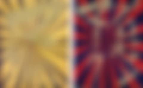 Untitled (Canary Yellow and Black Butterfly 830); and Untitled (Scarlet Lake and Indigo Blue Butterfly 826) (preview)