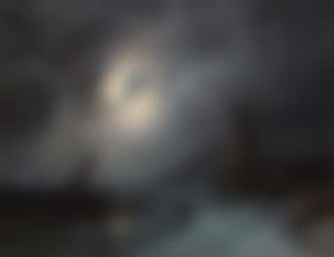 MOONLIT COAST (preview)