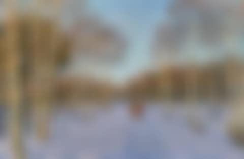 A BEAUTIFUL DAY, IZMAILOVO (preview)