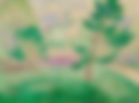 Matin au parc Montsouris (preview)