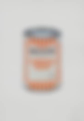 Soup Can (Mint/Orange/Brown) (preview)